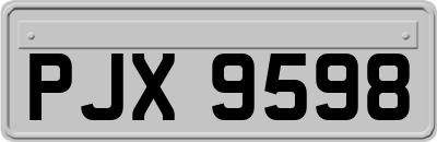 PJX9598
