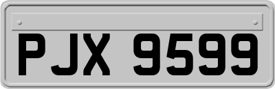 PJX9599