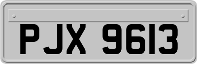 PJX9613