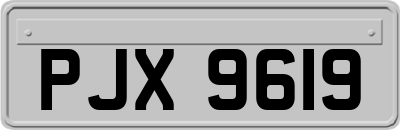 PJX9619