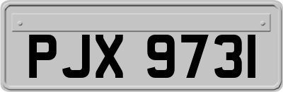 PJX9731
