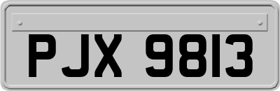 PJX9813