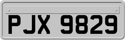 PJX9829