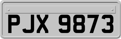 PJX9873