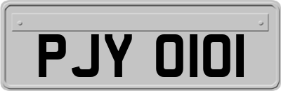 PJY0101