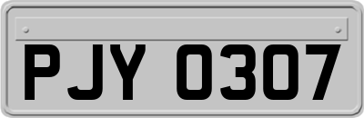 PJY0307