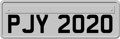 PJY2020
