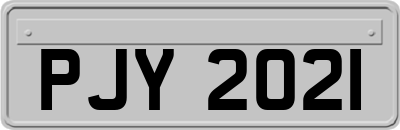 PJY2021