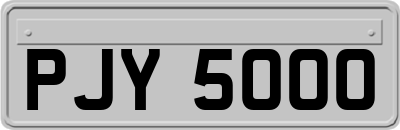 PJY5000