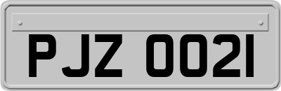 PJZ0021