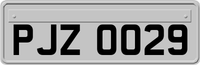 PJZ0029
