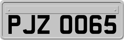 PJZ0065