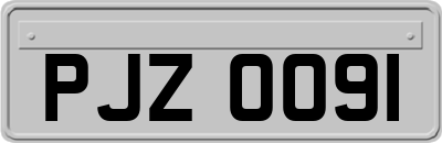 PJZ0091