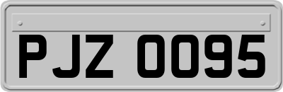 PJZ0095