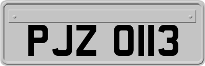 PJZ0113