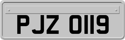 PJZ0119