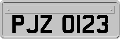 PJZ0123