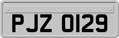 PJZ0129