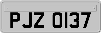 PJZ0137