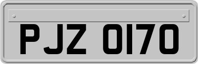 PJZ0170
