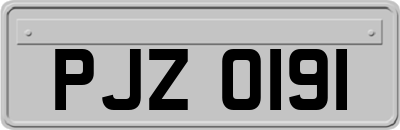 PJZ0191