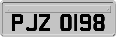 PJZ0198
