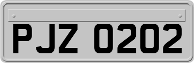 PJZ0202