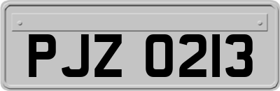PJZ0213