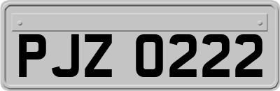 PJZ0222