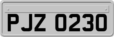 PJZ0230