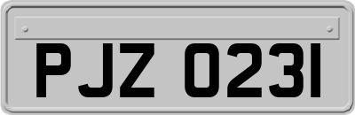PJZ0231