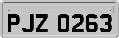 PJZ0263