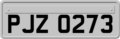 PJZ0273
