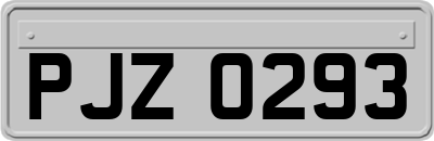 PJZ0293