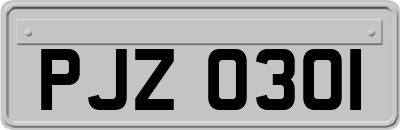 PJZ0301