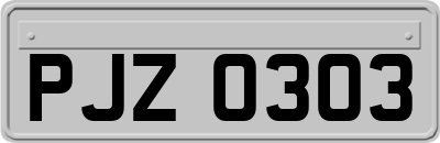 PJZ0303