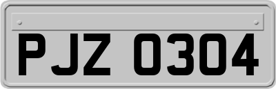 PJZ0304