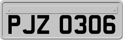 PJZ0306