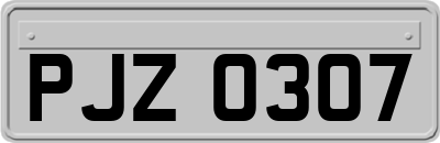 PJZ0307