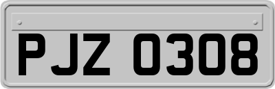 PJZ0308