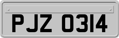 PJZ0314