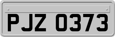 PJZ0373