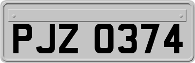 PJZ0374