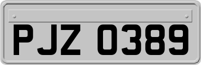 PJZ0389