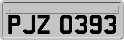 PJZ0393