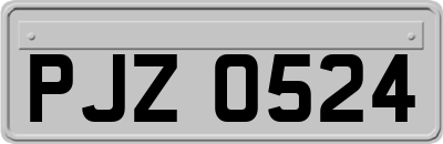 PJZ0524