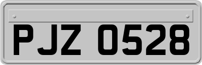 PJZ0528