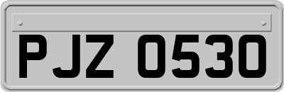 PJZ0530