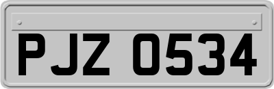 PJZ0534