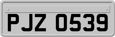 PJZ0539